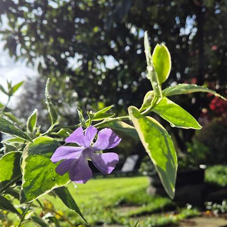 Cascina San Martino Bed and Breakfast Passirano Εξωτερικό φωτογραφία