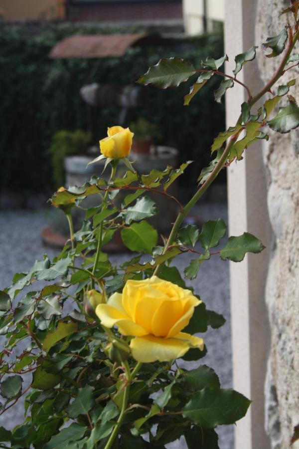 Cascina San Martino Bed and Breakfast Passirano Εξωτερικό φωτογραφία